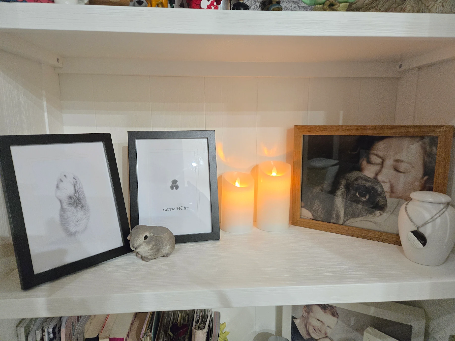 Everpaw memorial keepsakes - paw print, certificate of cremation