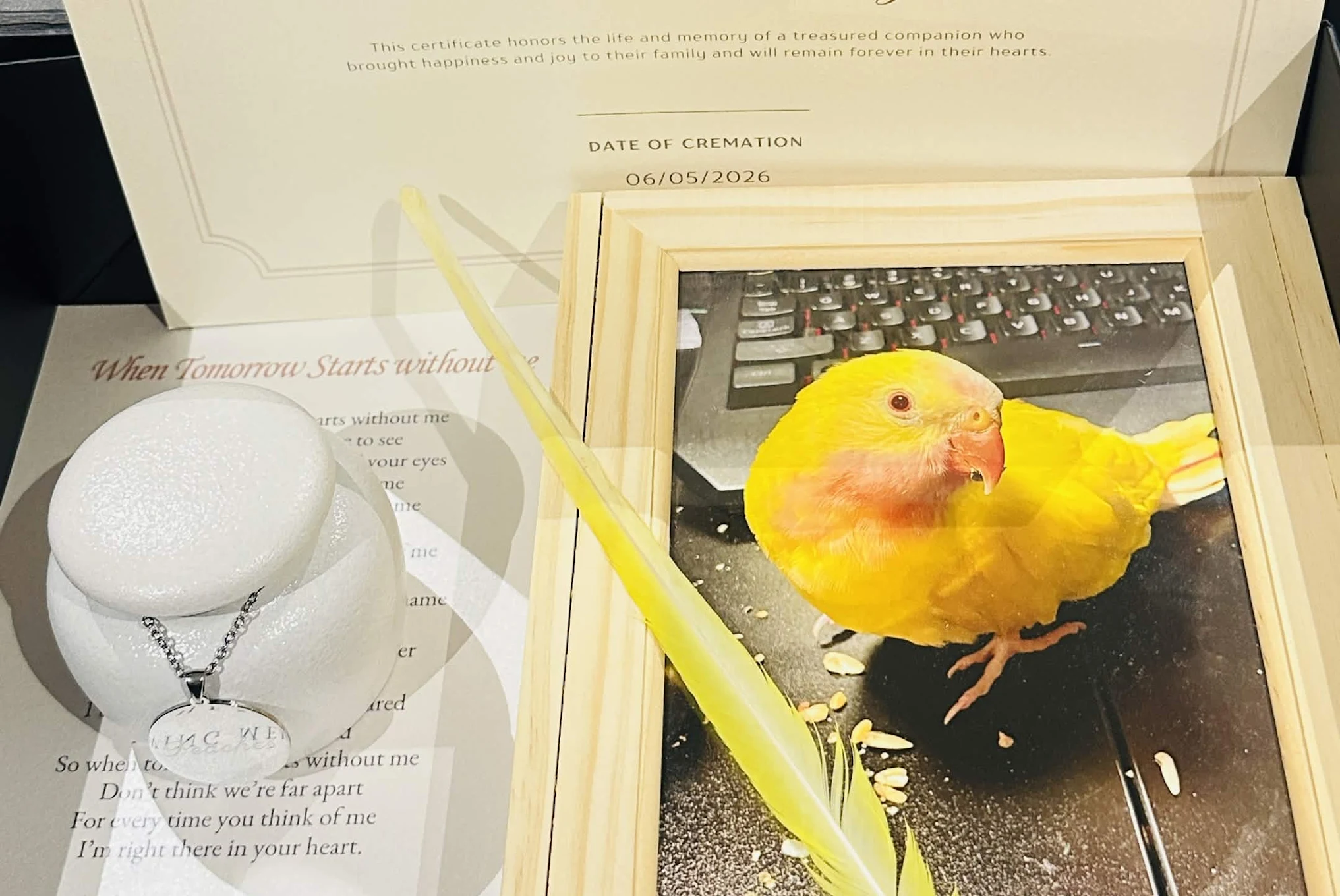 Bird memorial keepsakes with photo, certificate, feather and pendant necklace