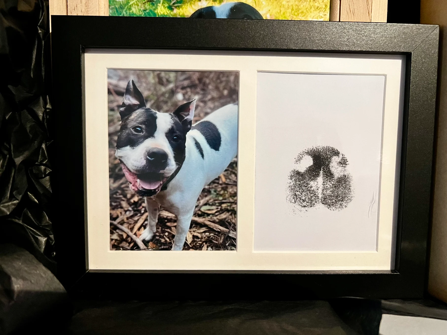 Lola's photo and paw print in frame