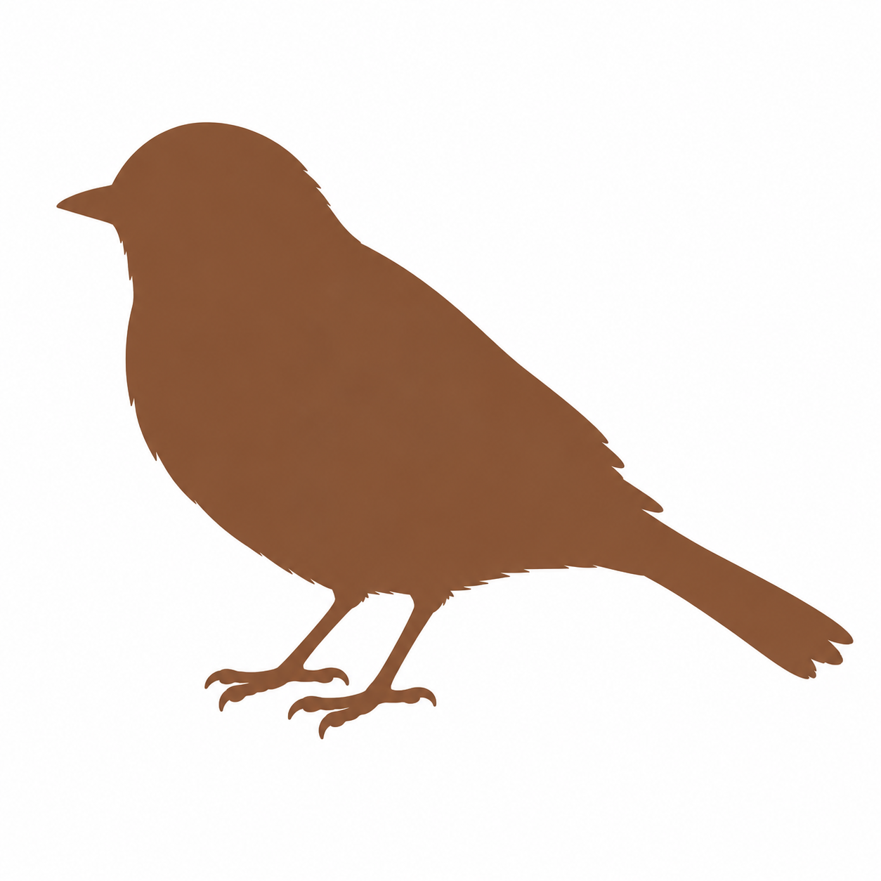 Bird Cremation Sydney