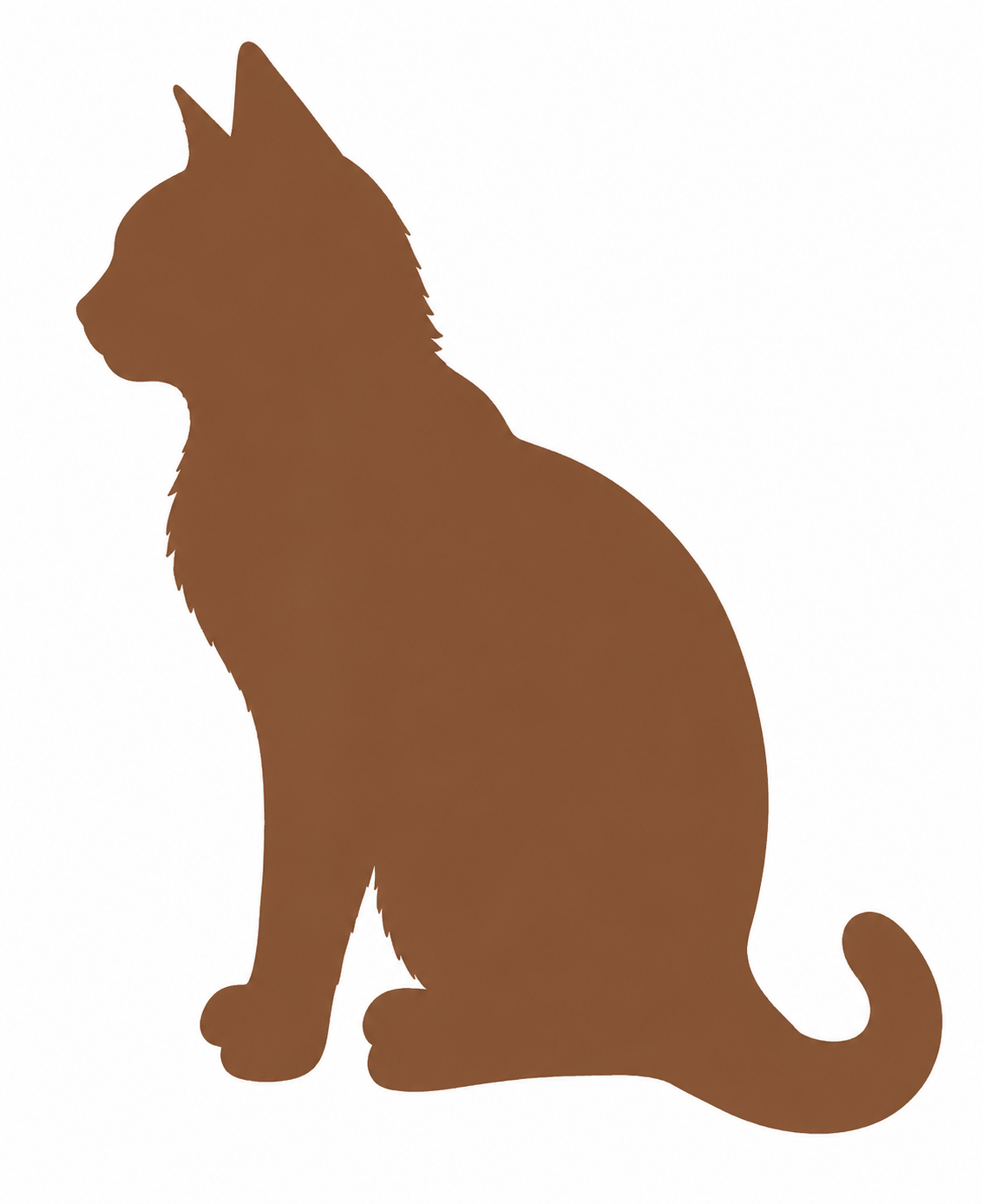 Cat Cremation Sydney