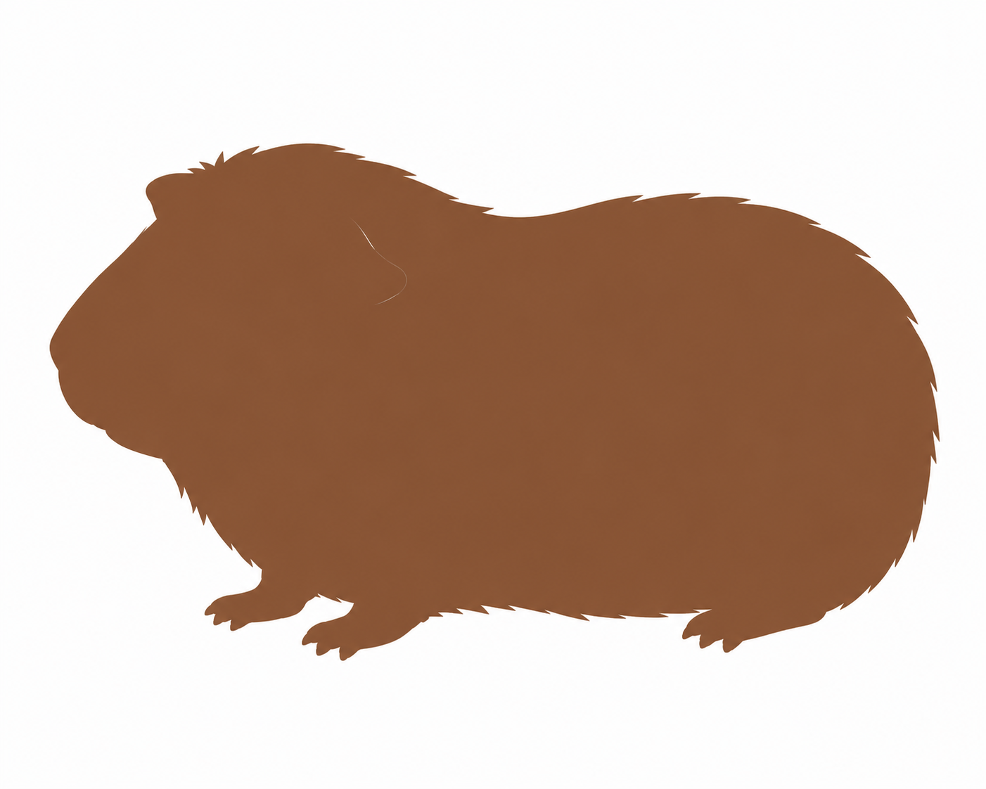 Guinea Pig Cremation Sydney
