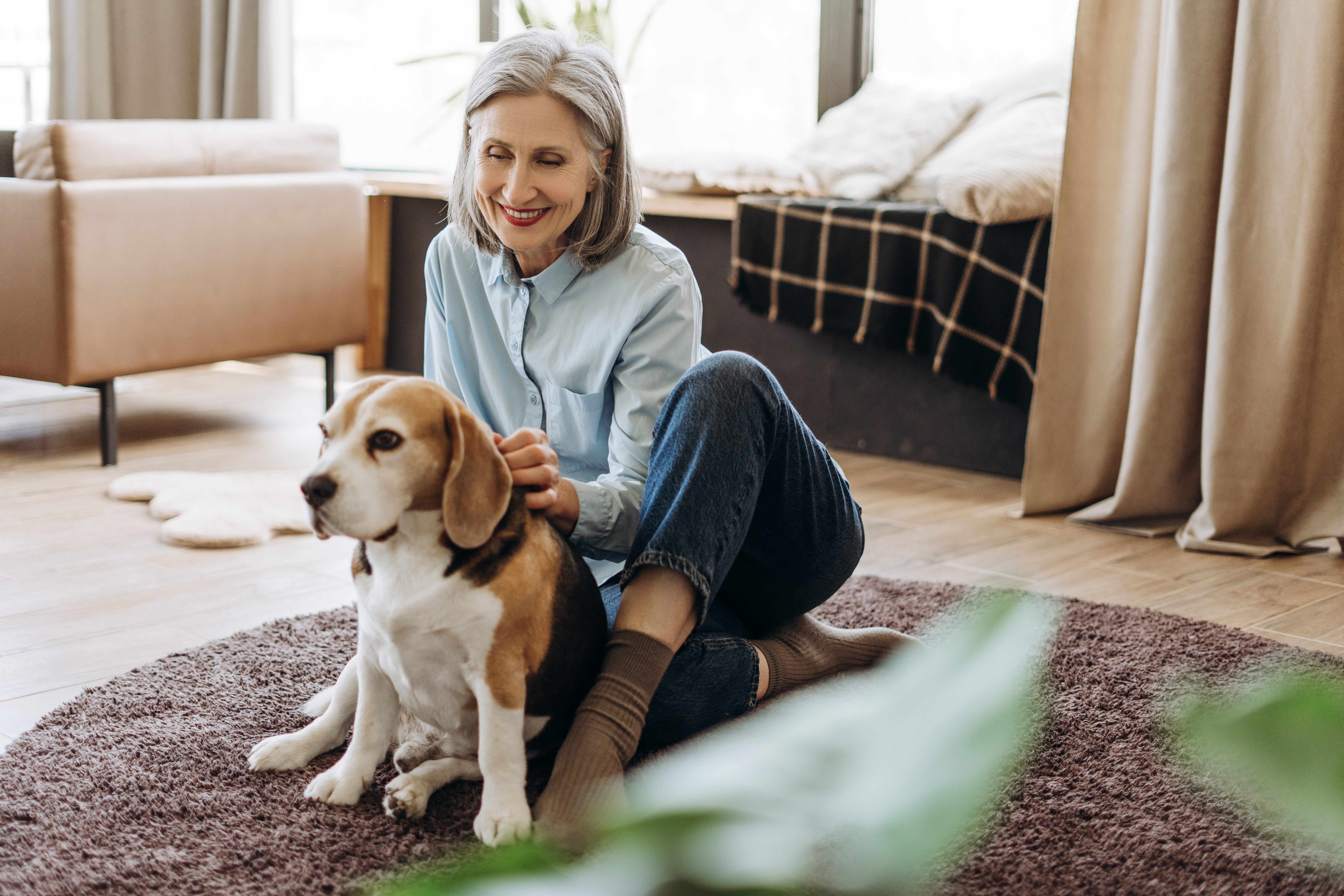 How Much Does It Cost to Put a Dog Down in Australia? (2026 Guide)