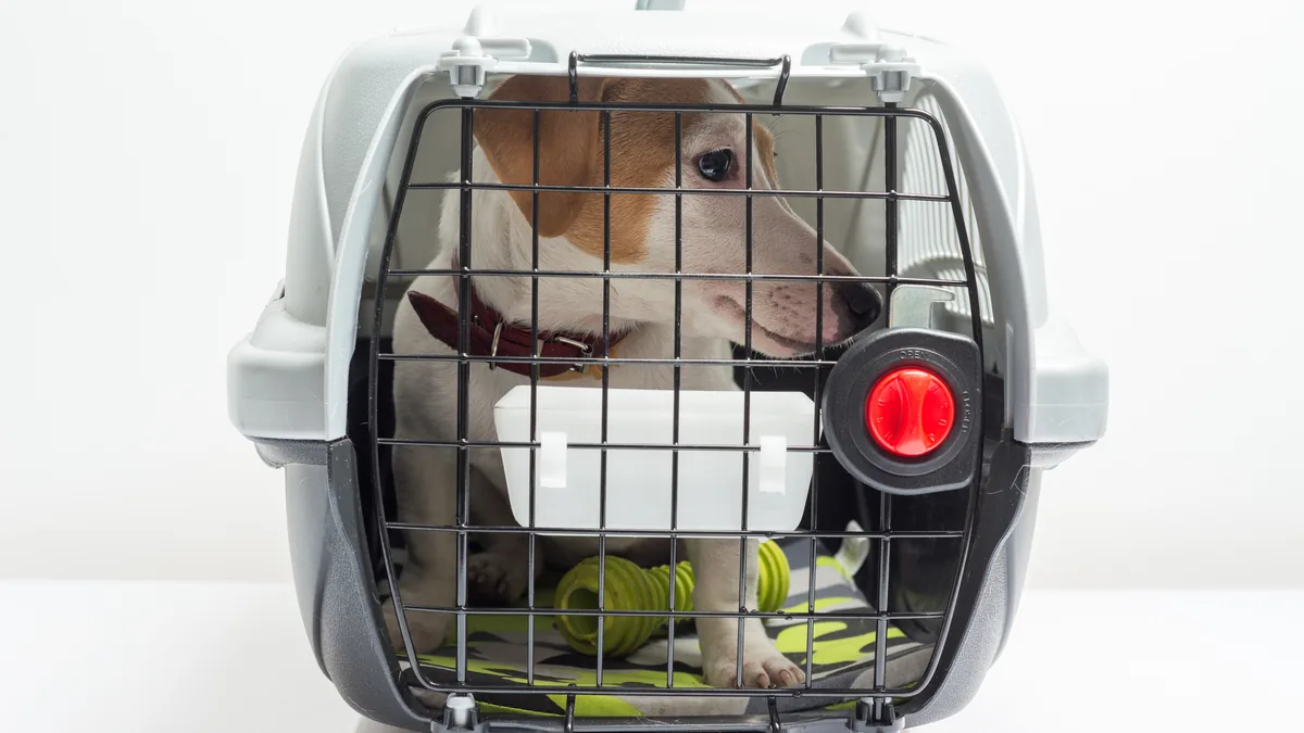 Small dog sitting in a pet travel carrier, ready to go