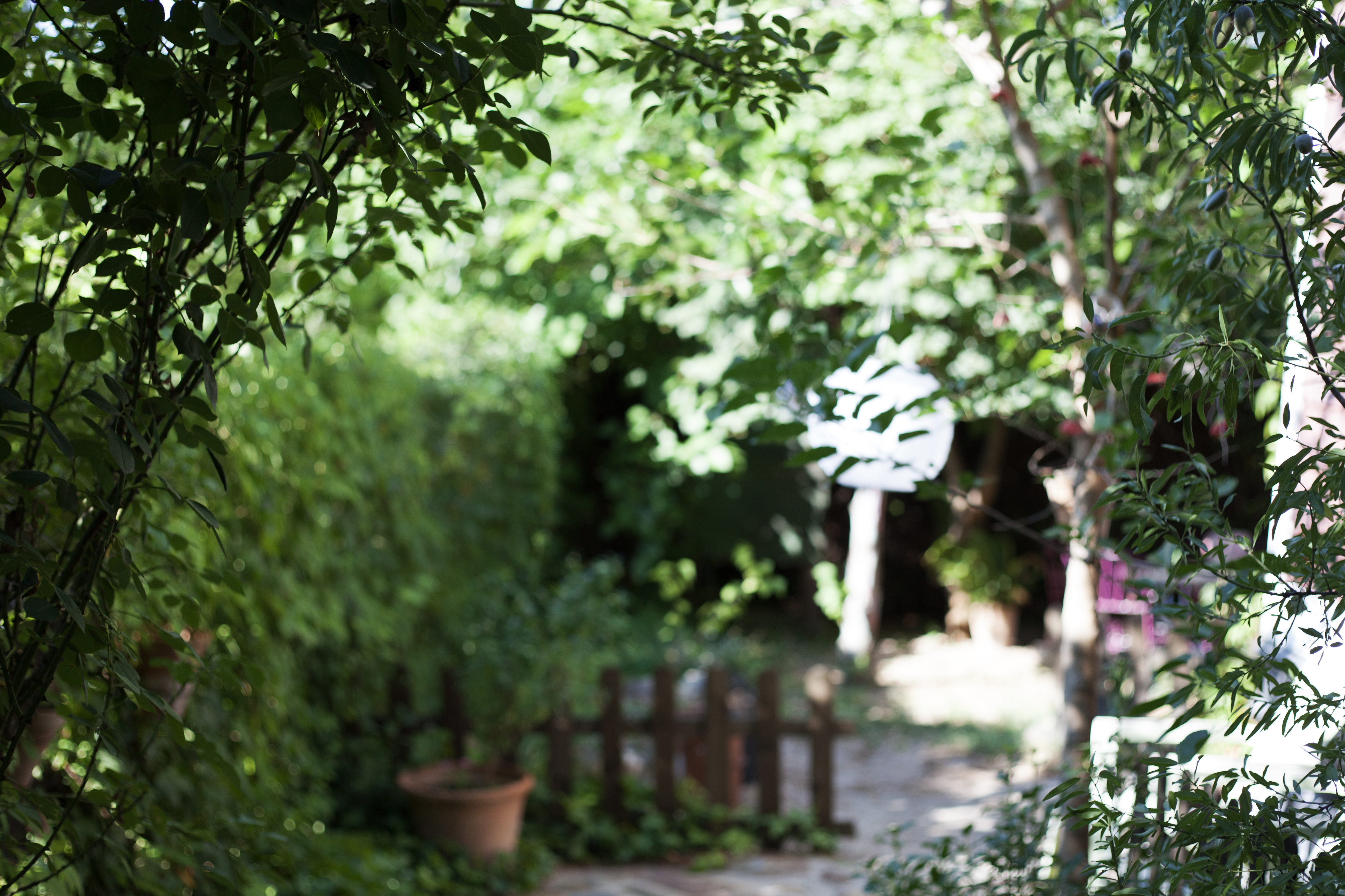 Quiet sunlit corner of an Australian backyard garden