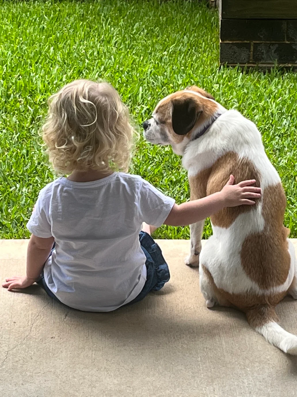 A toddler hugging Zara, a beloved dog cremated by Everpaw